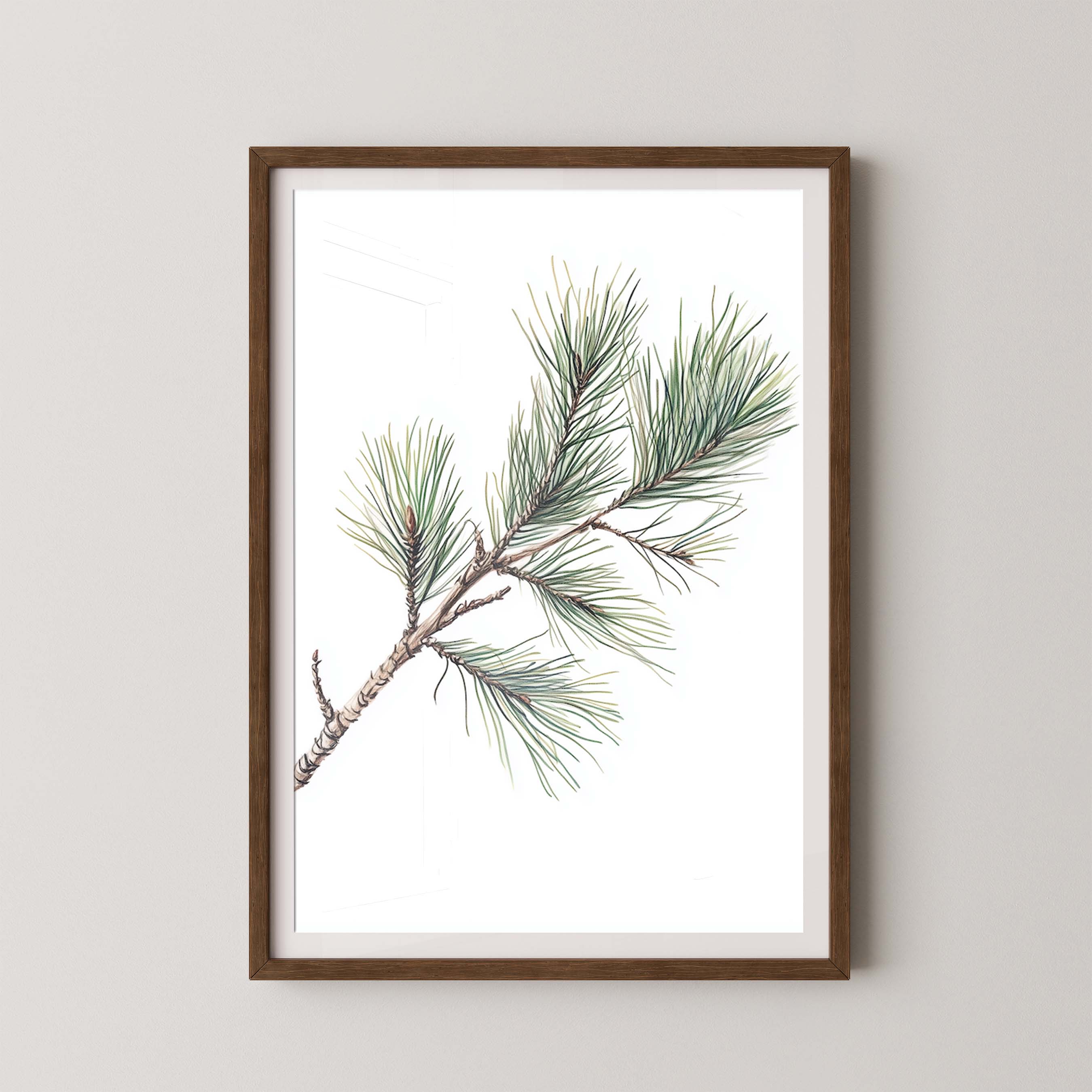 Pine Branch