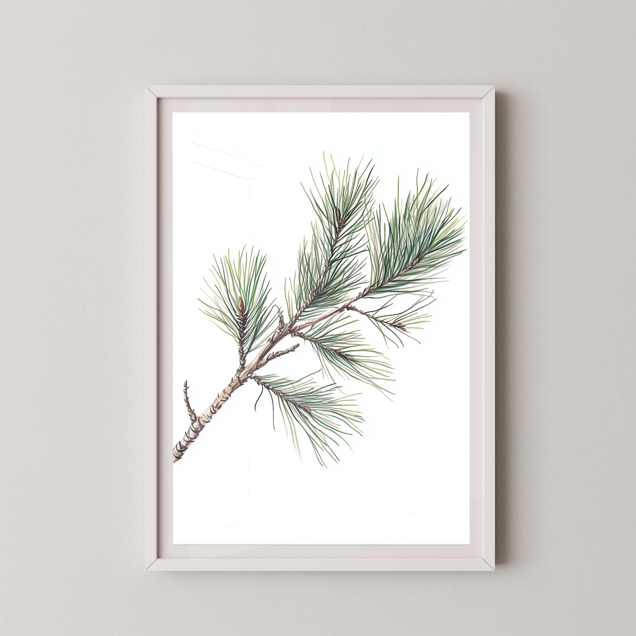 Pine Branch