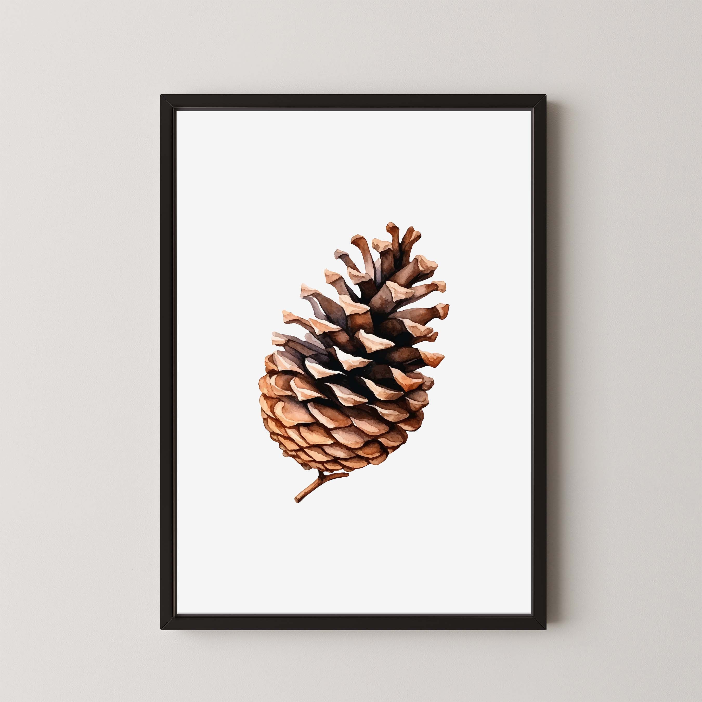 Pinecone Vibes II