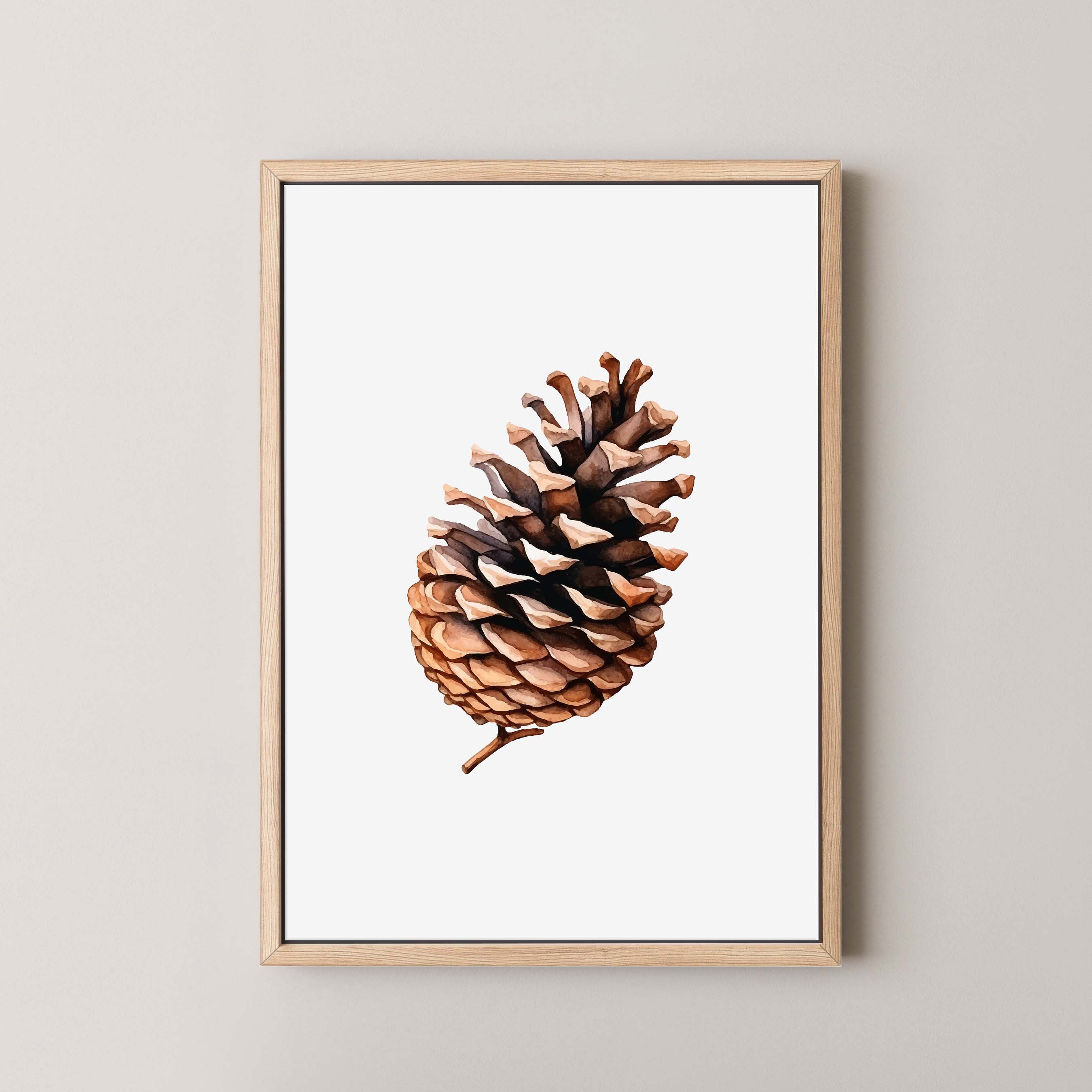 Pinecone Vibes II