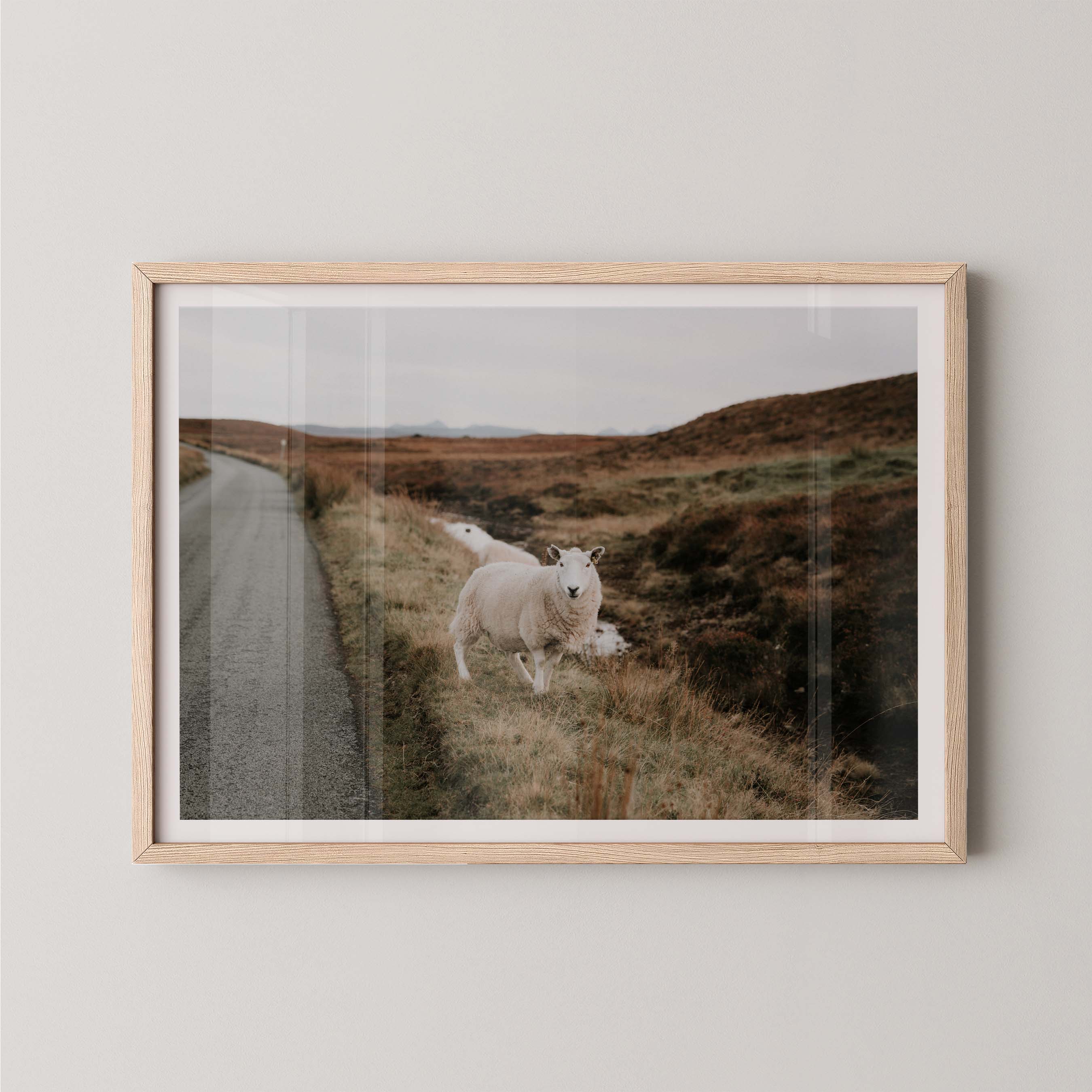 Roadside Friends