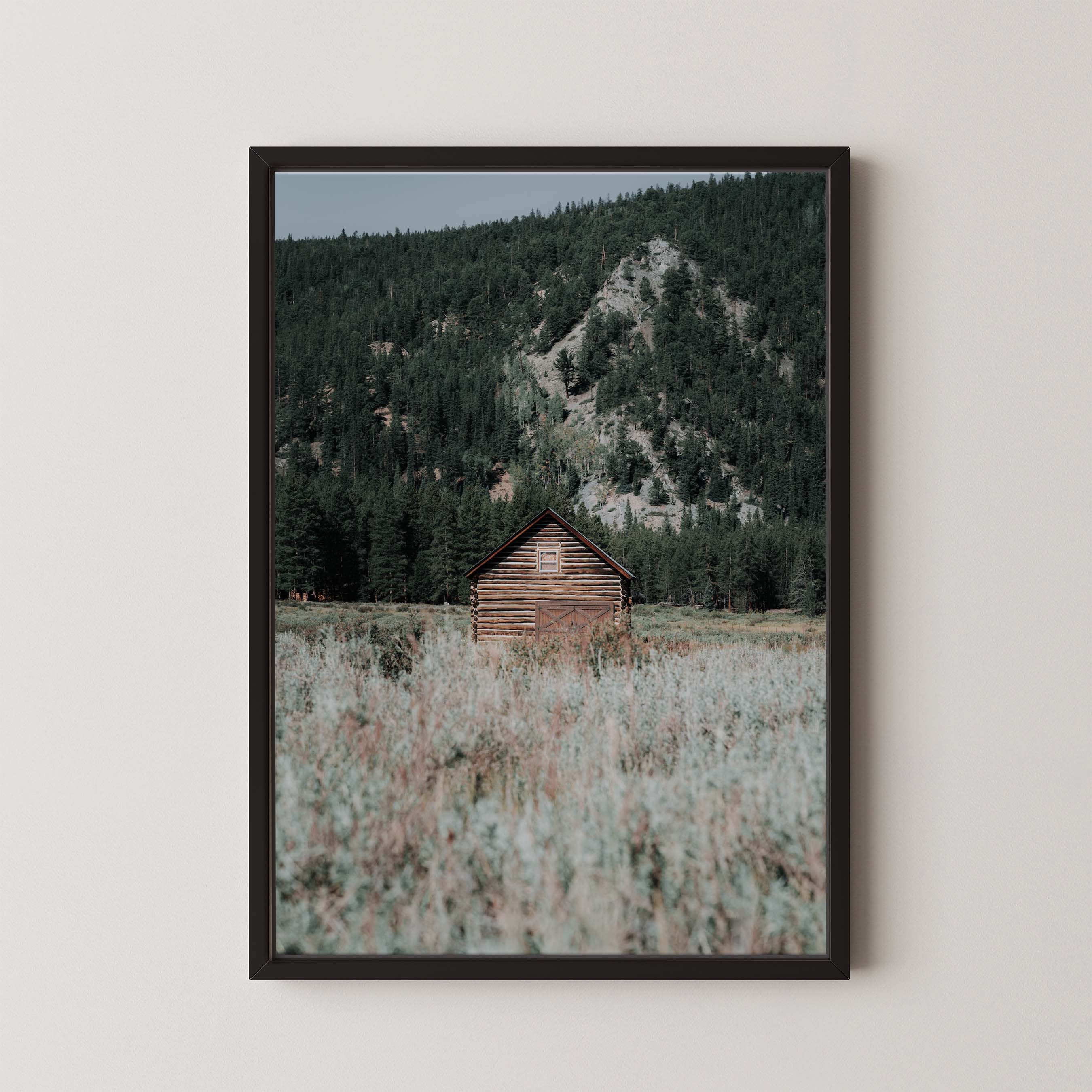 Rustic Cabin