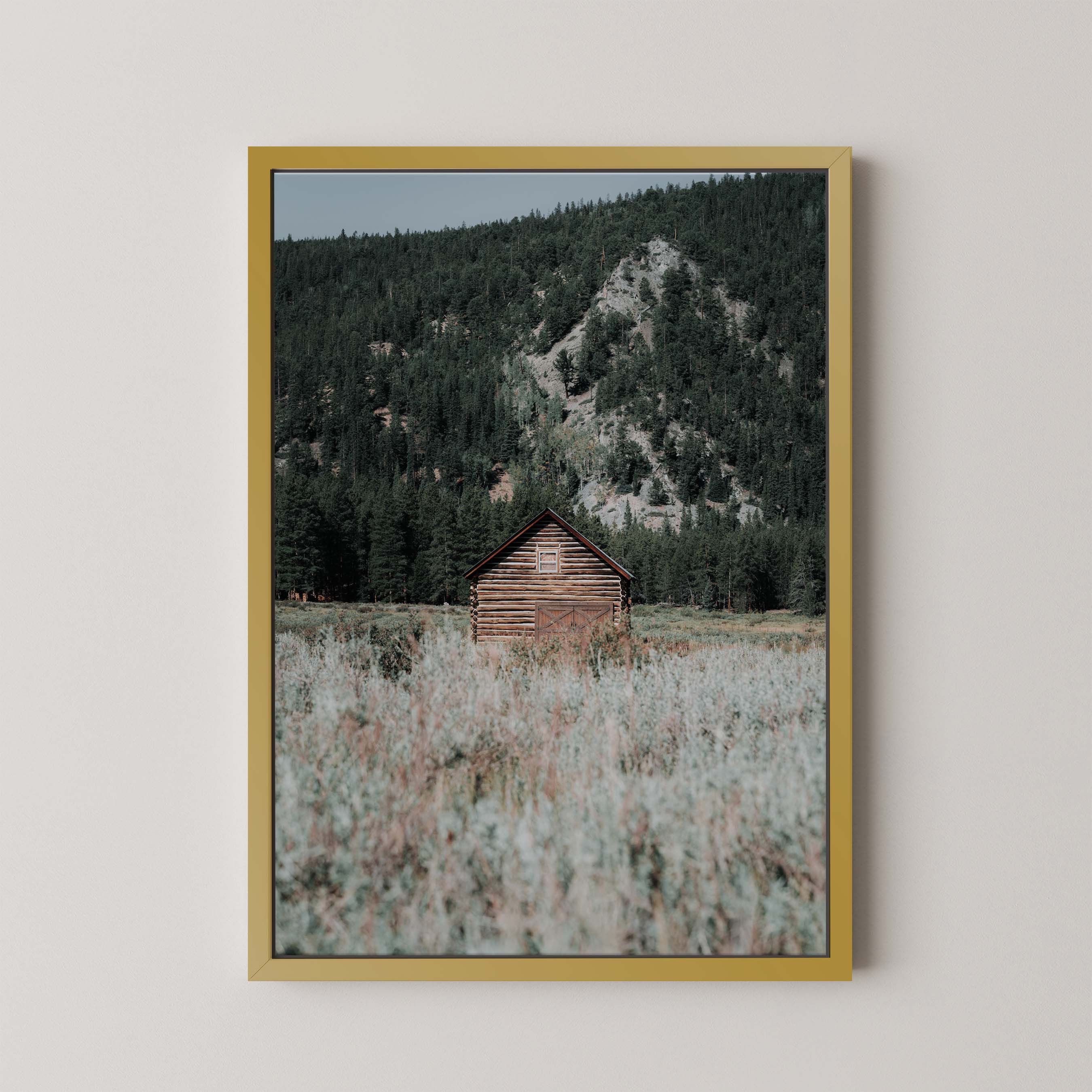 Rustic Cabin