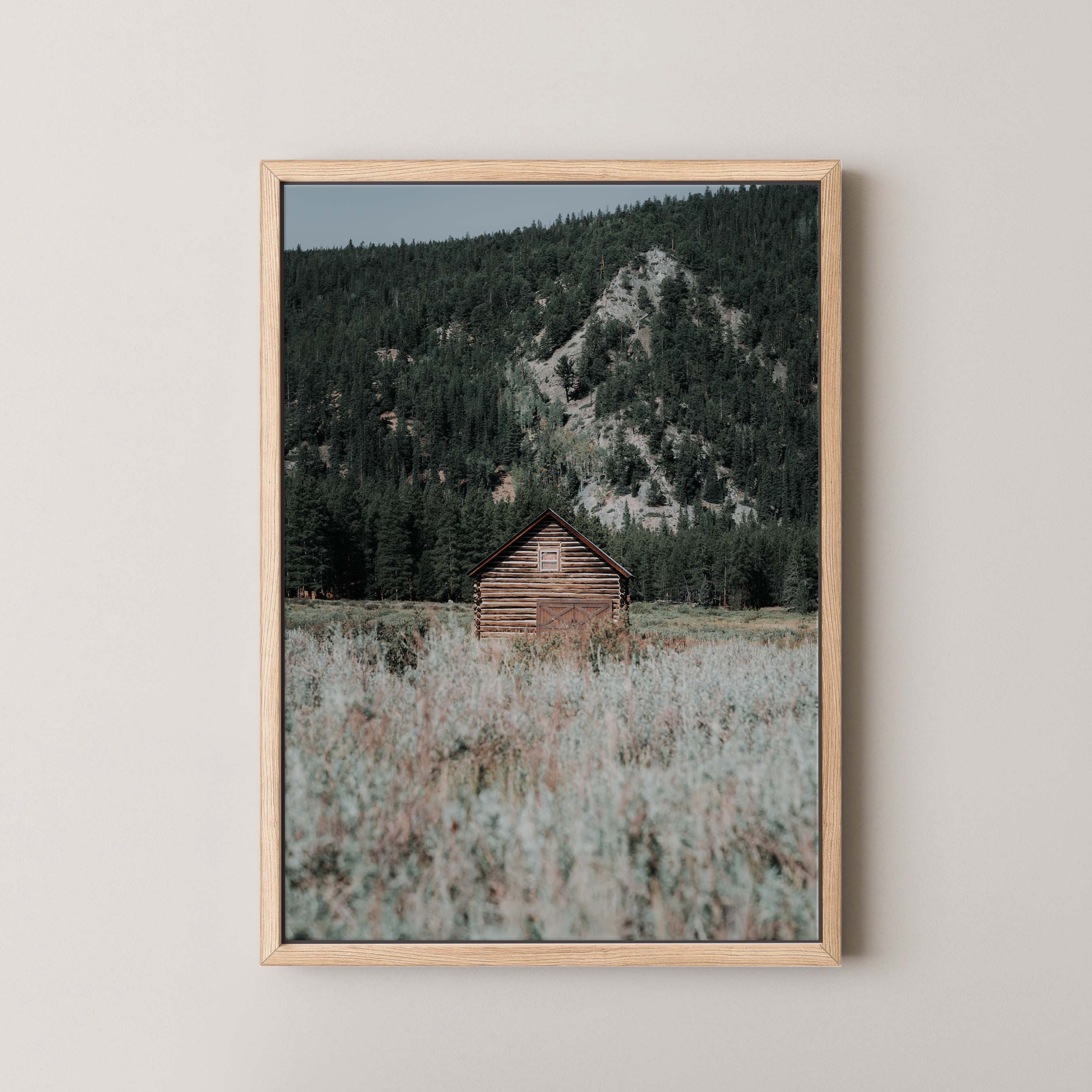 Rustic Cabin