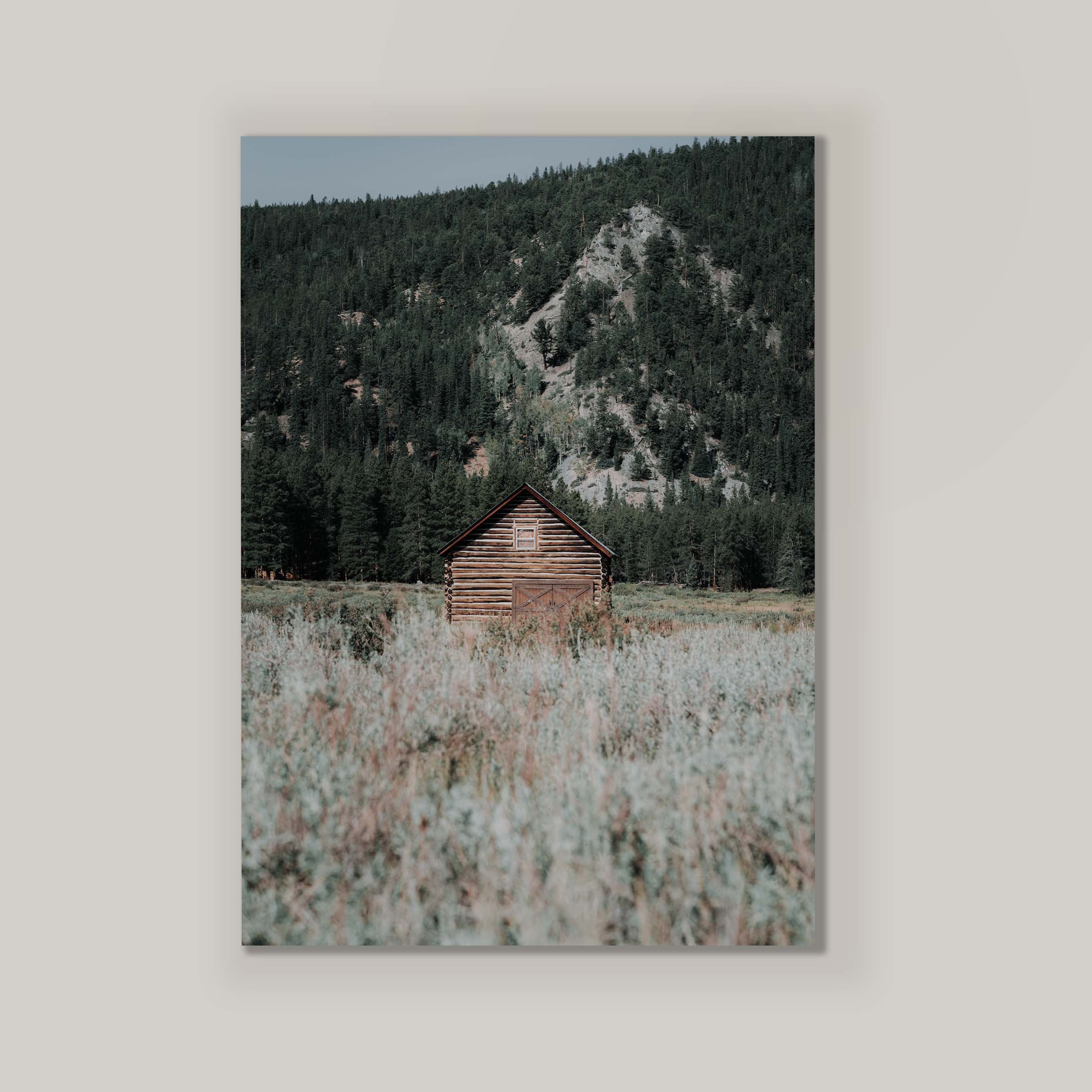 Rustic Cabin