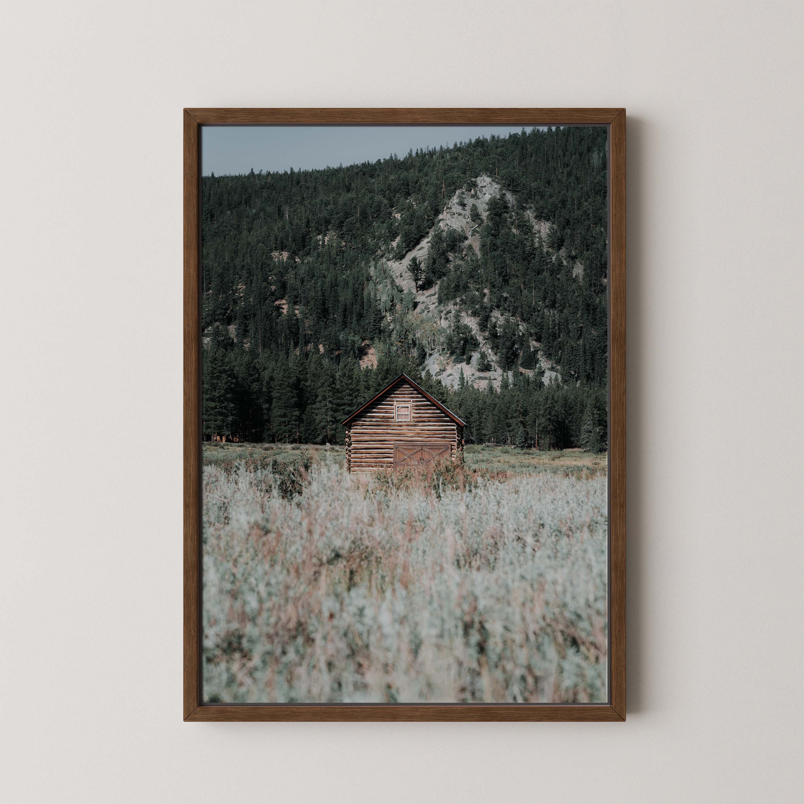 Rustic Cabin