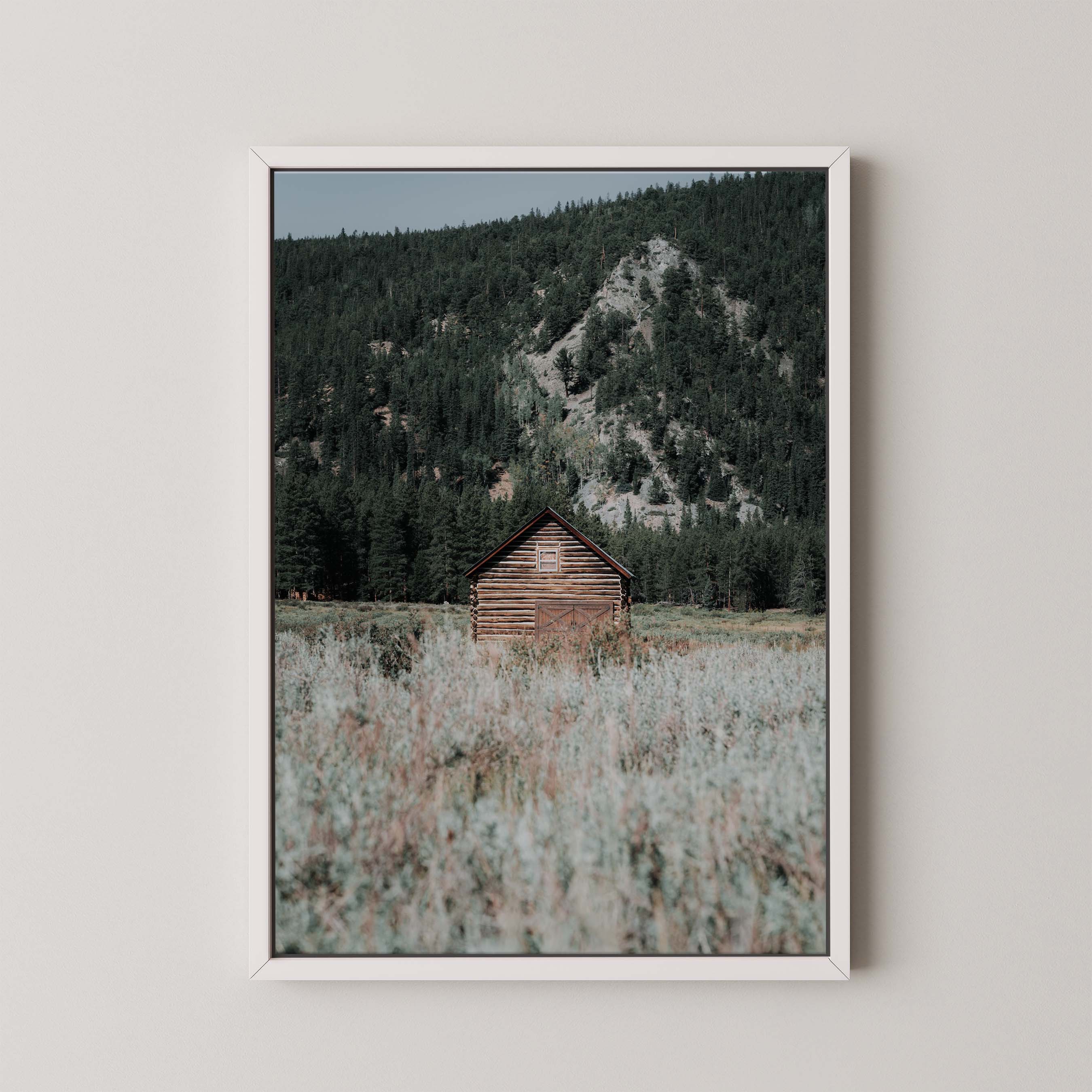 Rustic Cabin