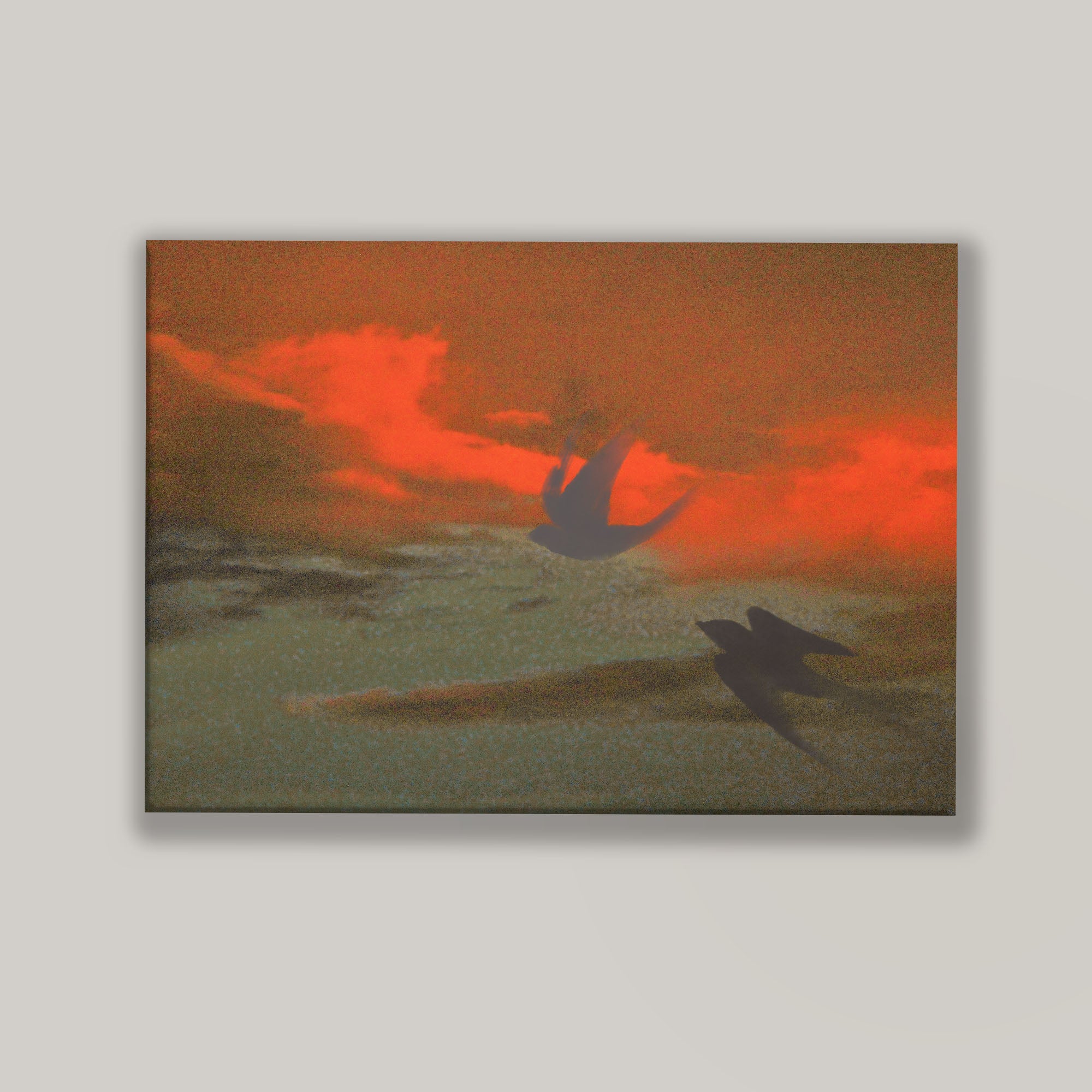 Soaring