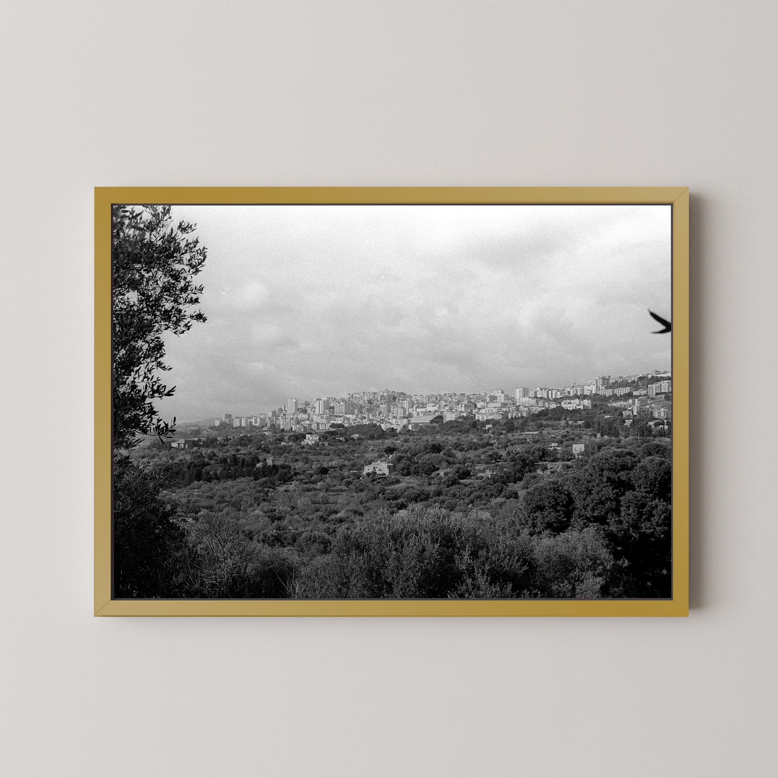 The Hills