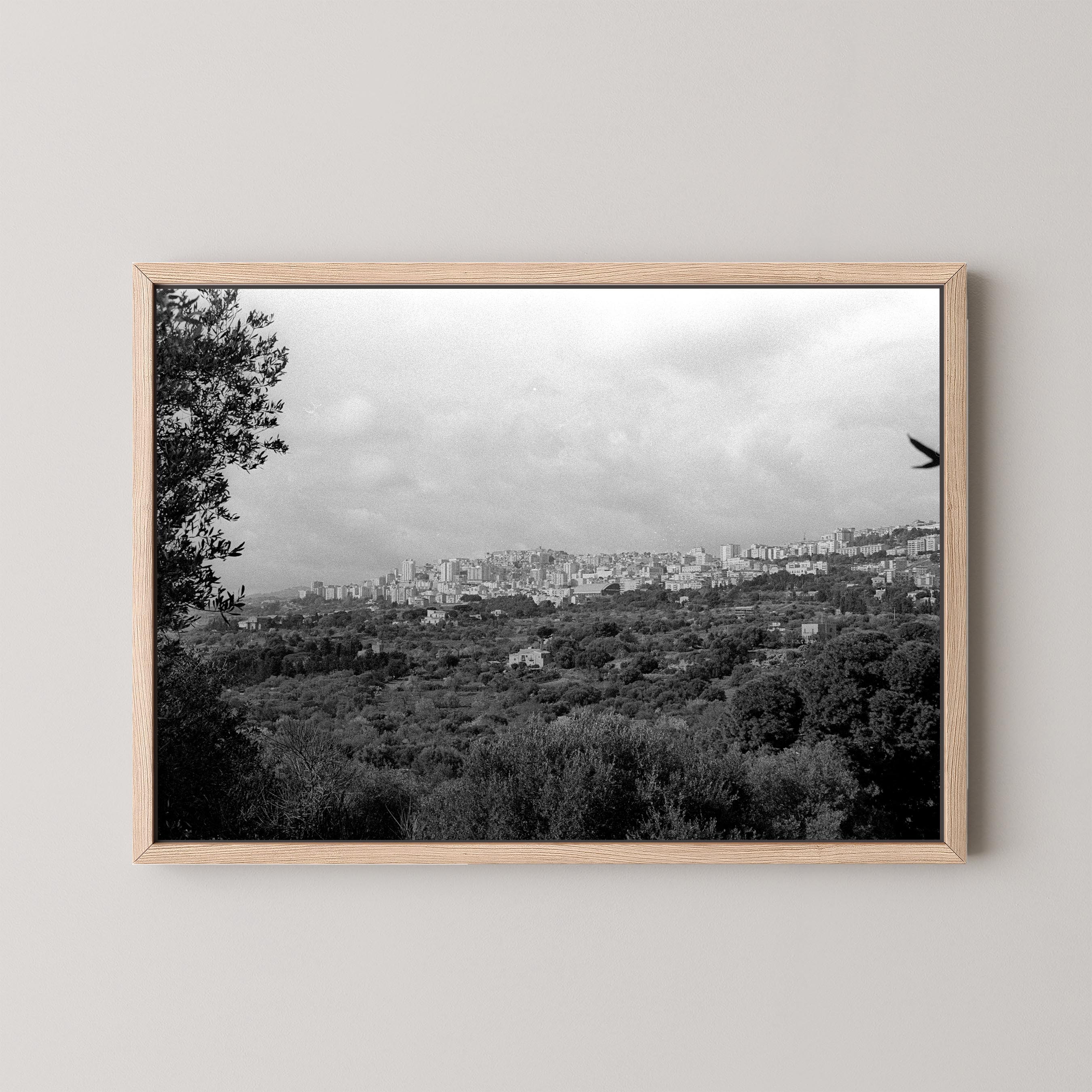 The Hills