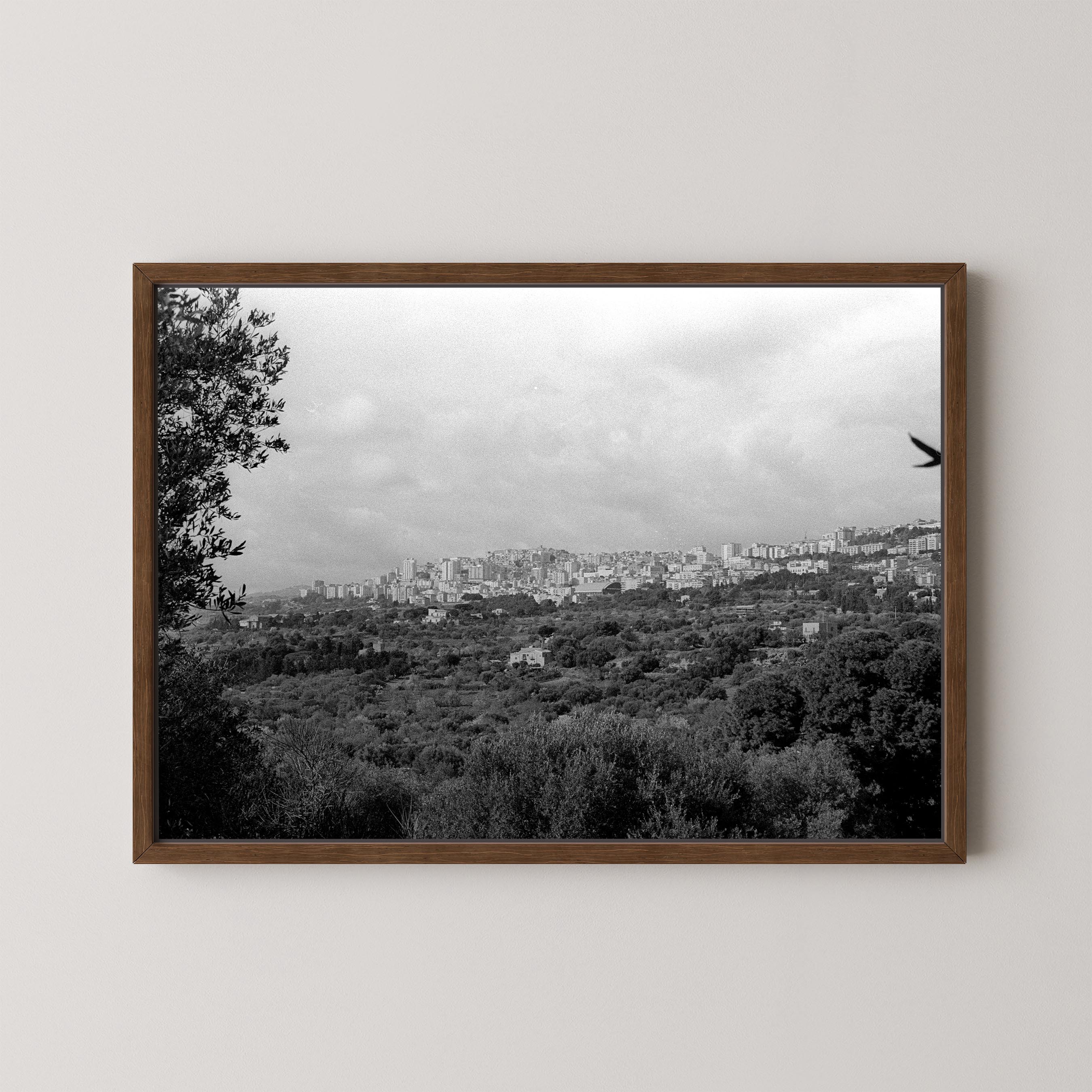 The Hills
