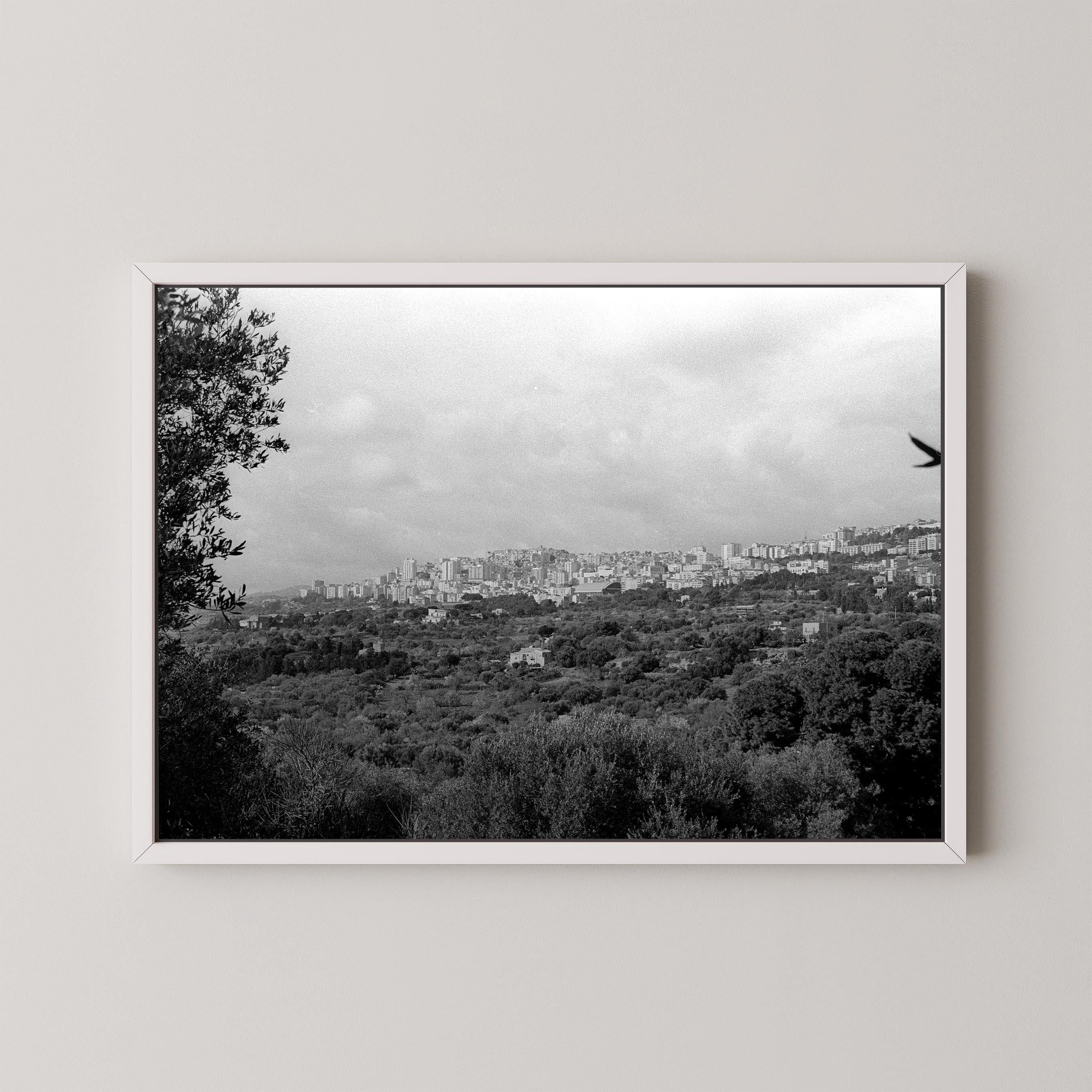 The Hills