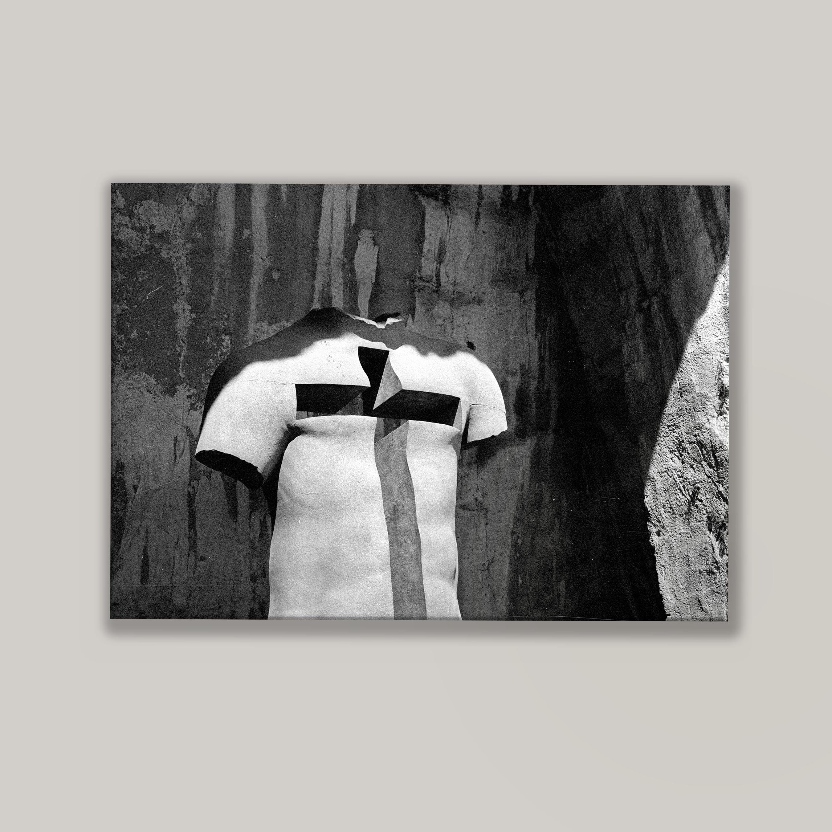 Torso