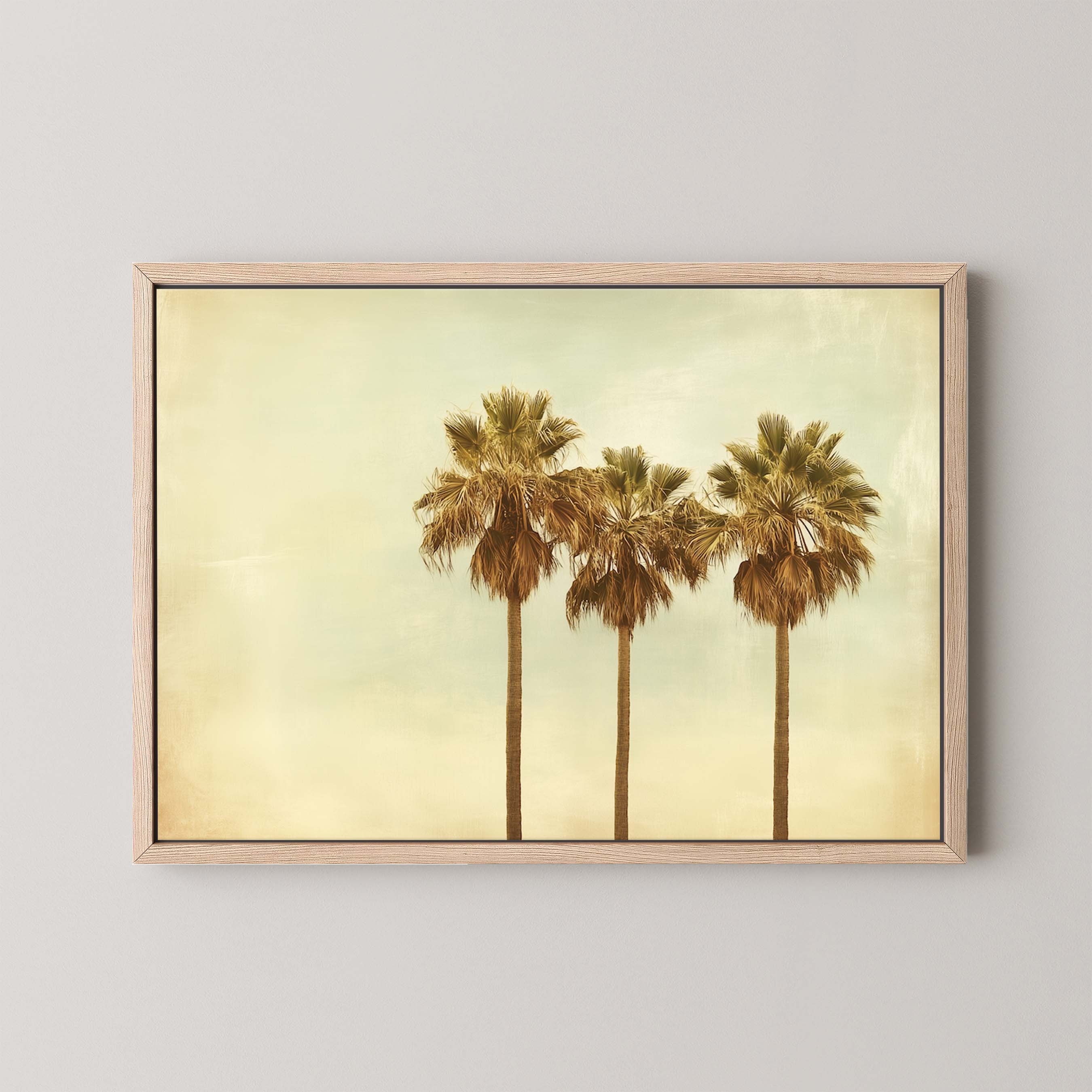 Triple Palm