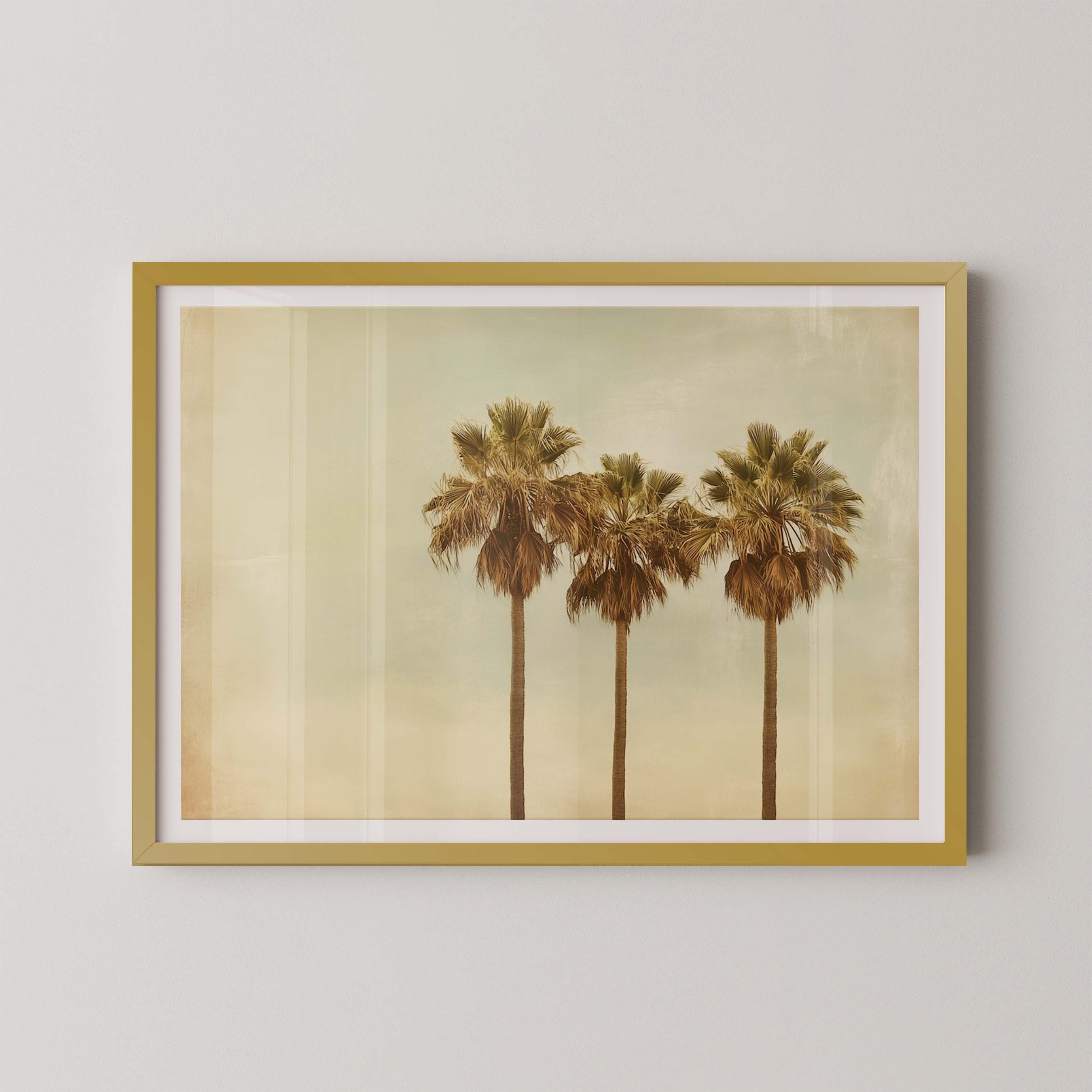 Triple Palm