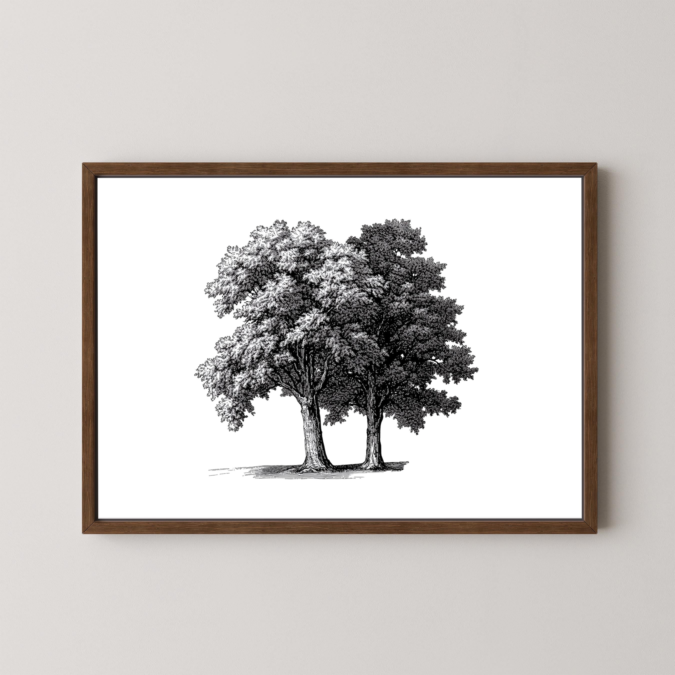 Twin Oaks