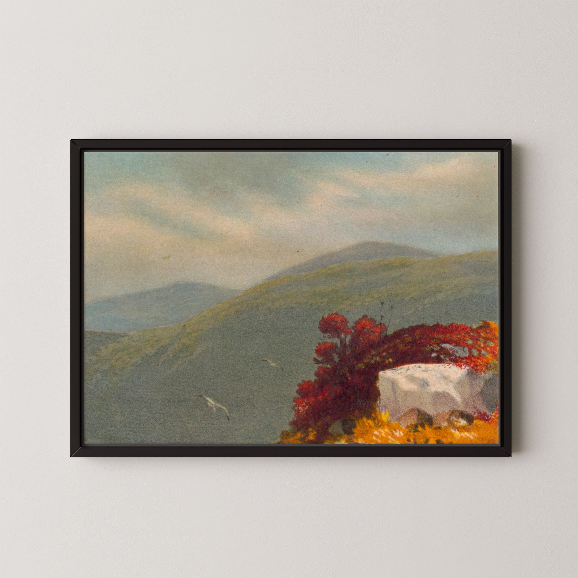 Vintage Vista
