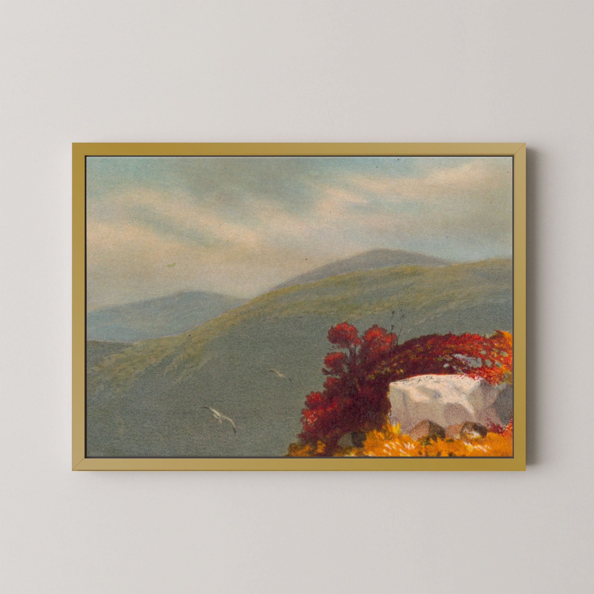 Vintage Vista