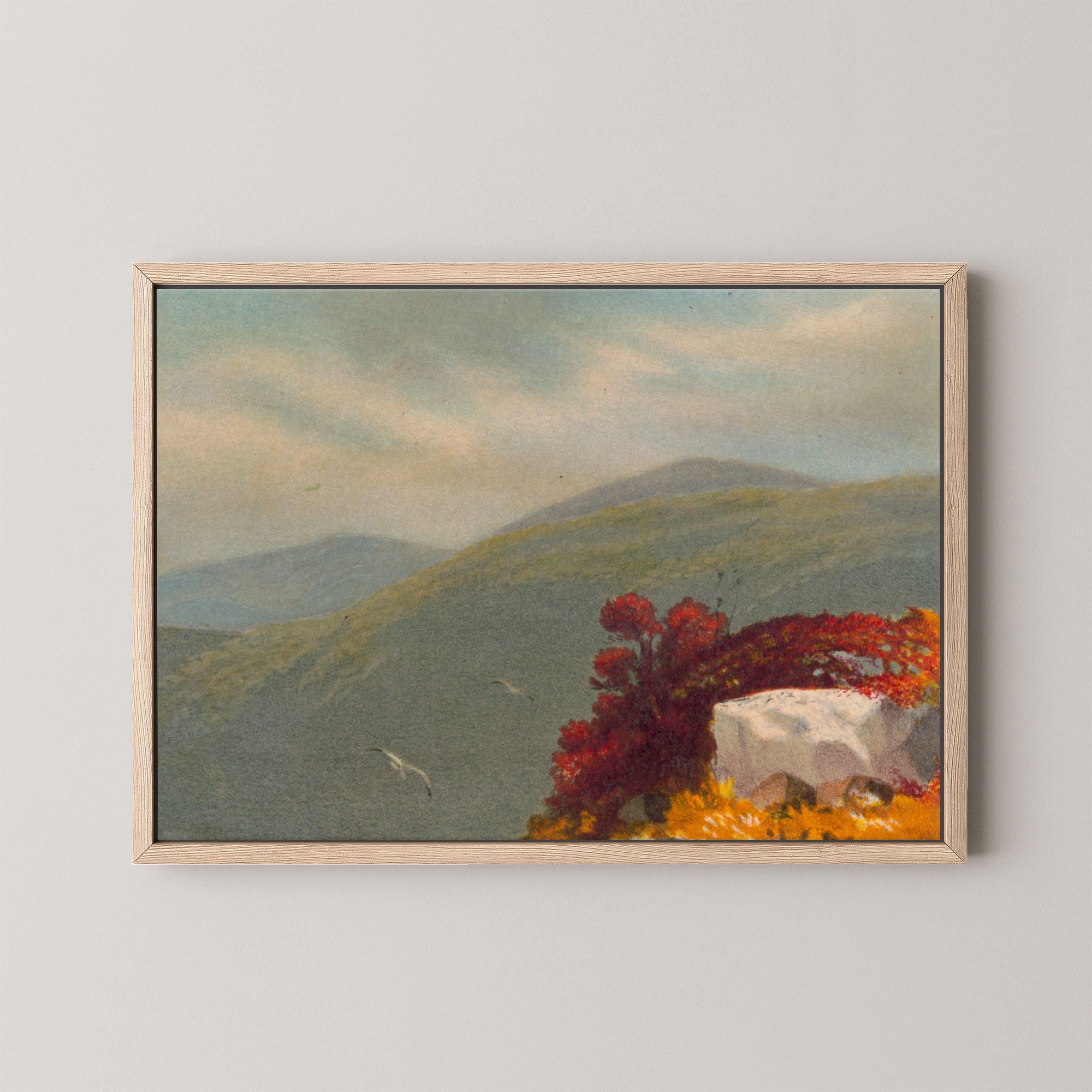 Vintage Vista