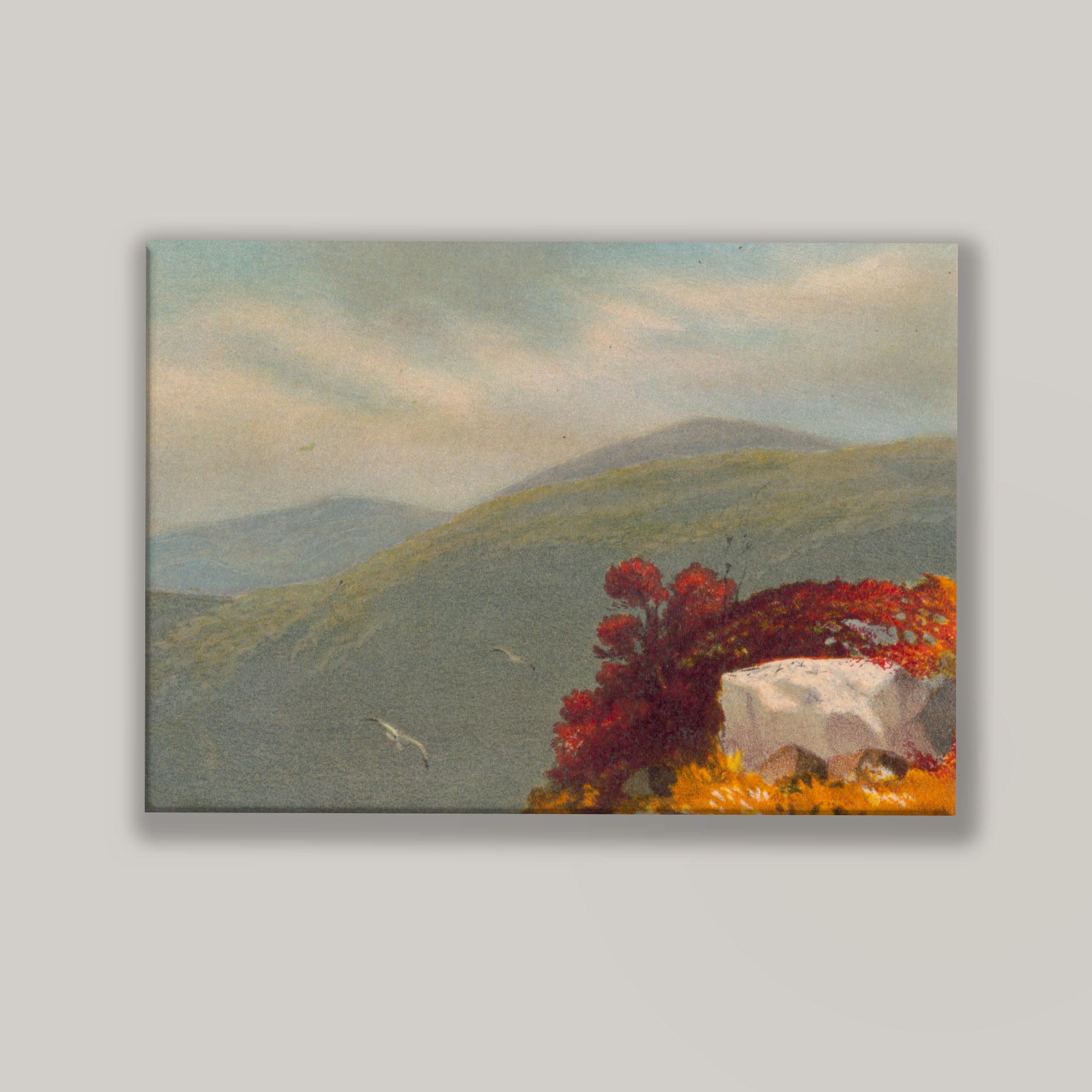 Vintage Vista
