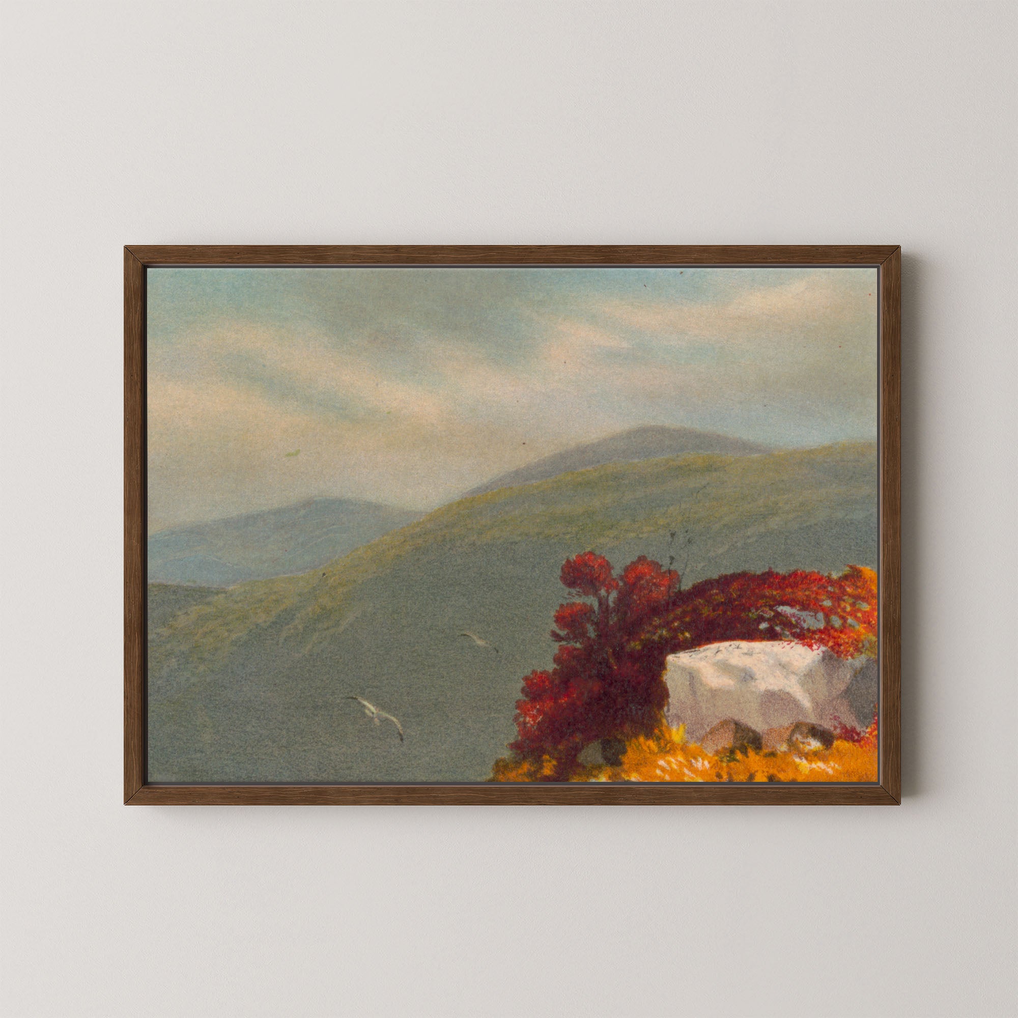Vintage Vista