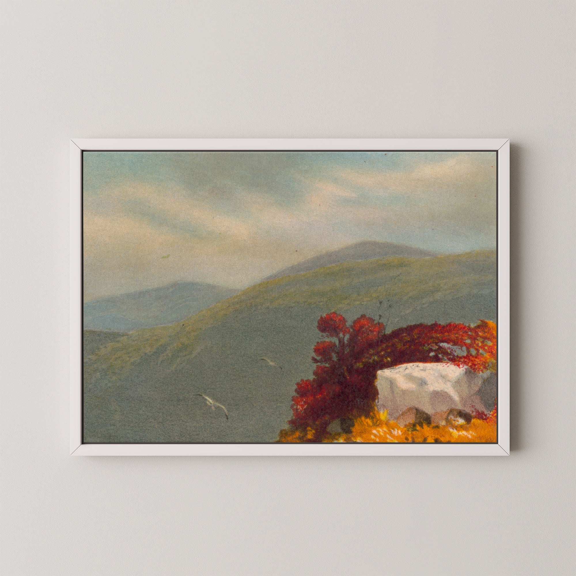 Vintage Vista