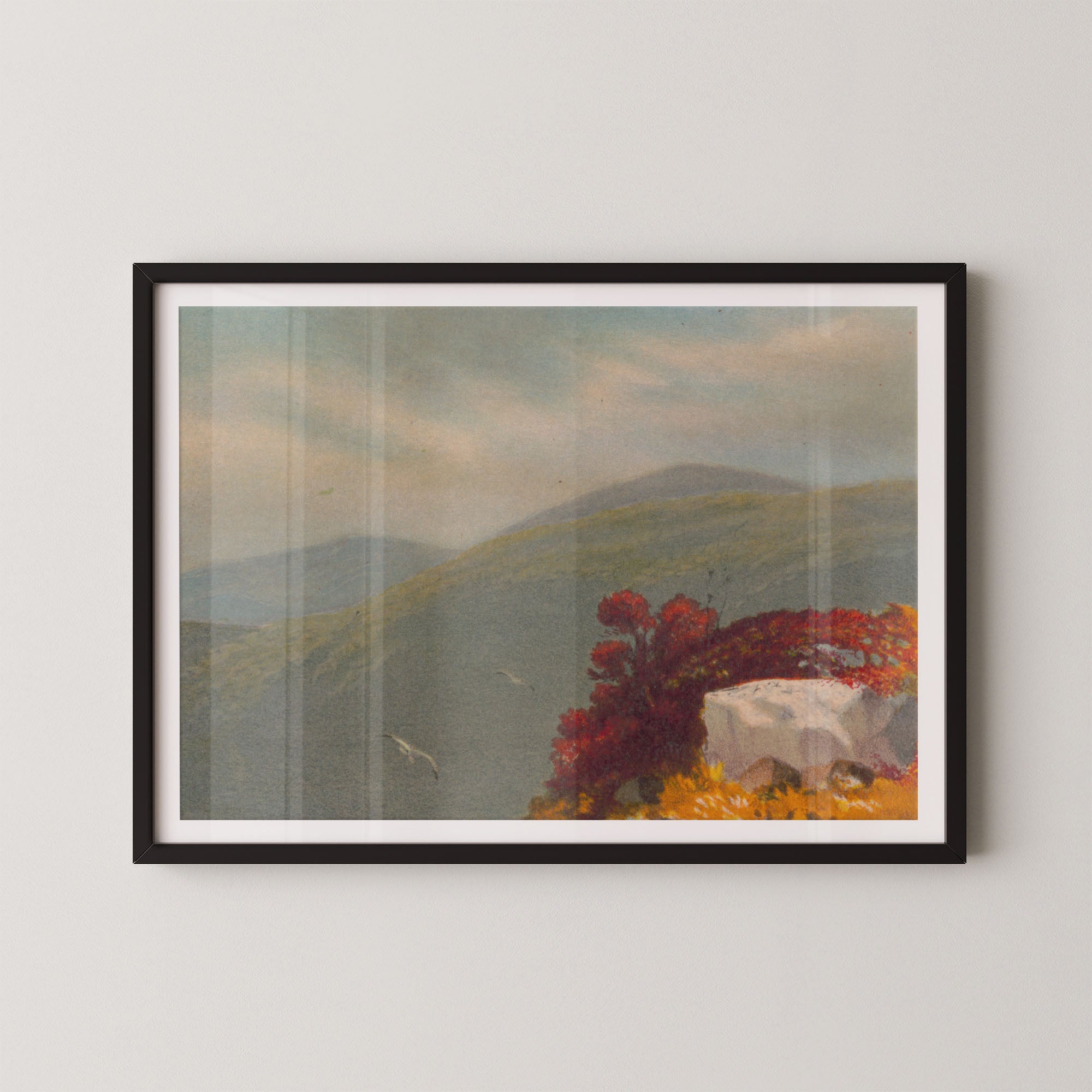 Vintage Vista