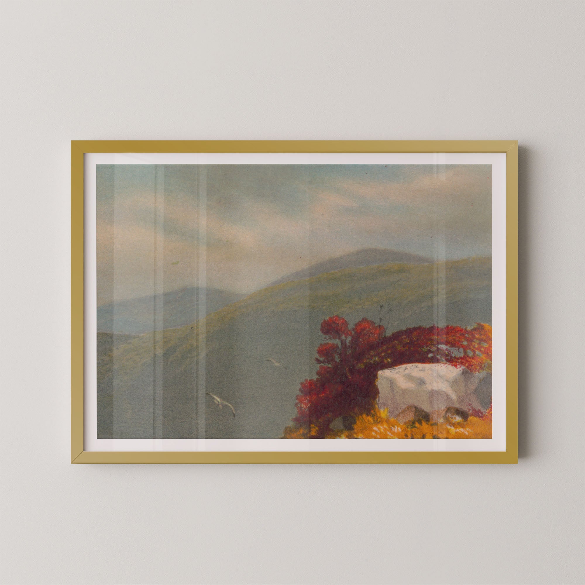 Vintage Vista