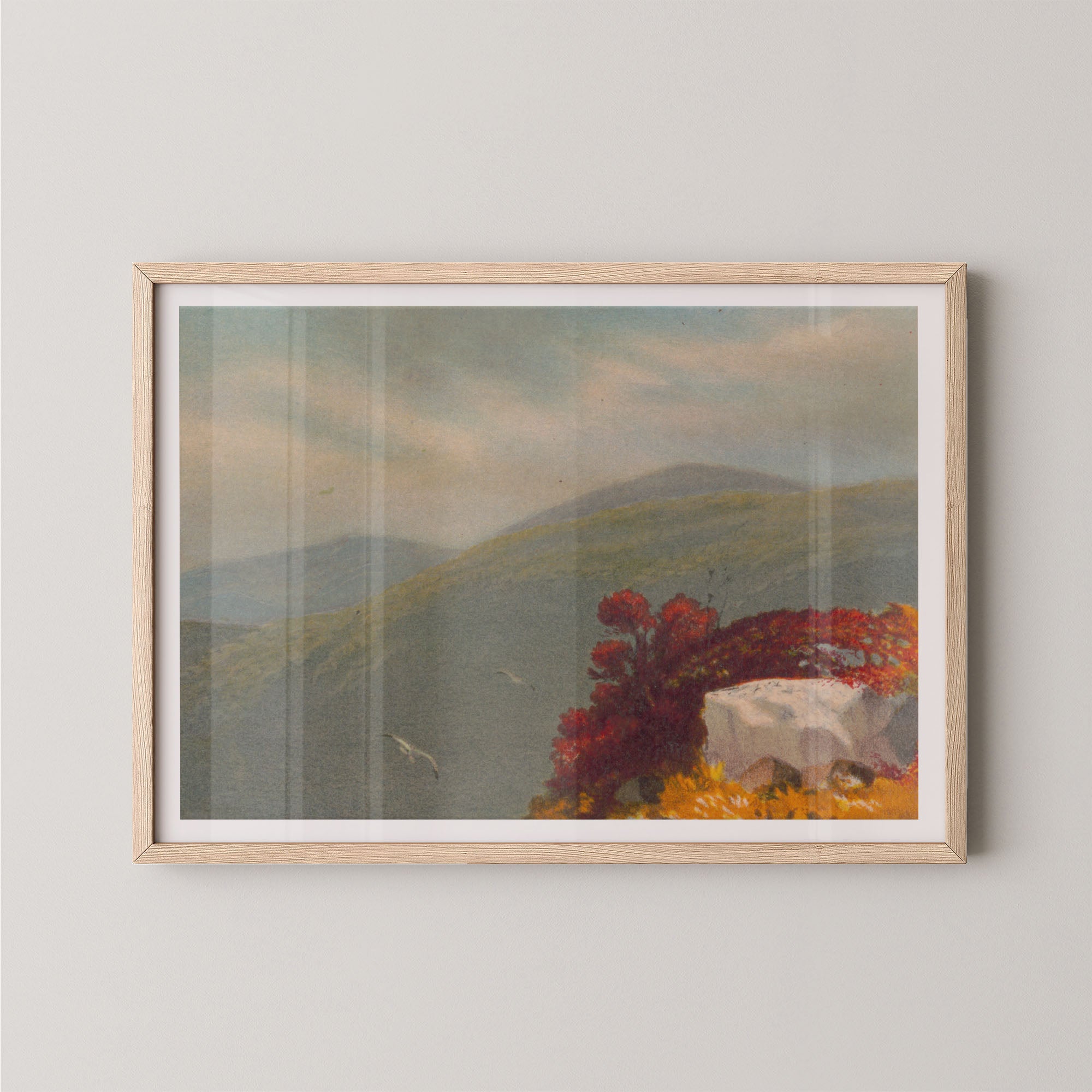 Vintage Vista