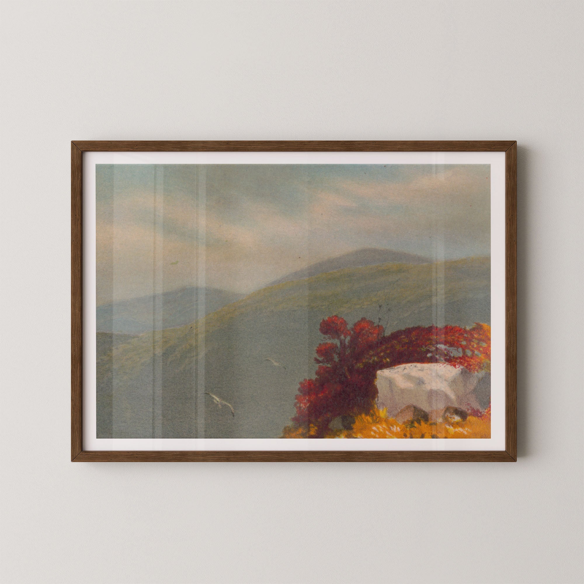 Vintage Vista