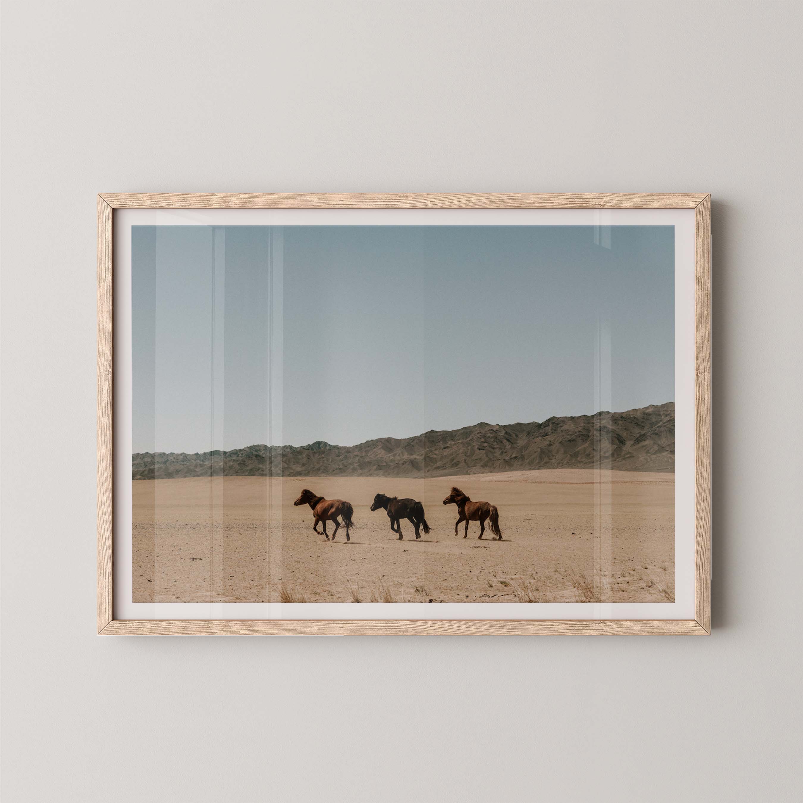 Wild Horses