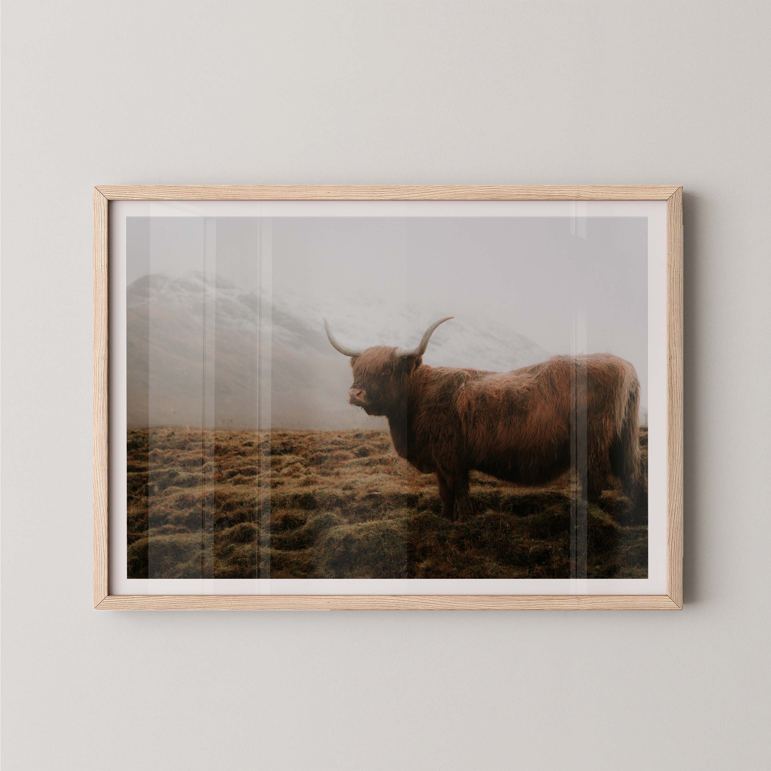 Wildlife of the Highlands