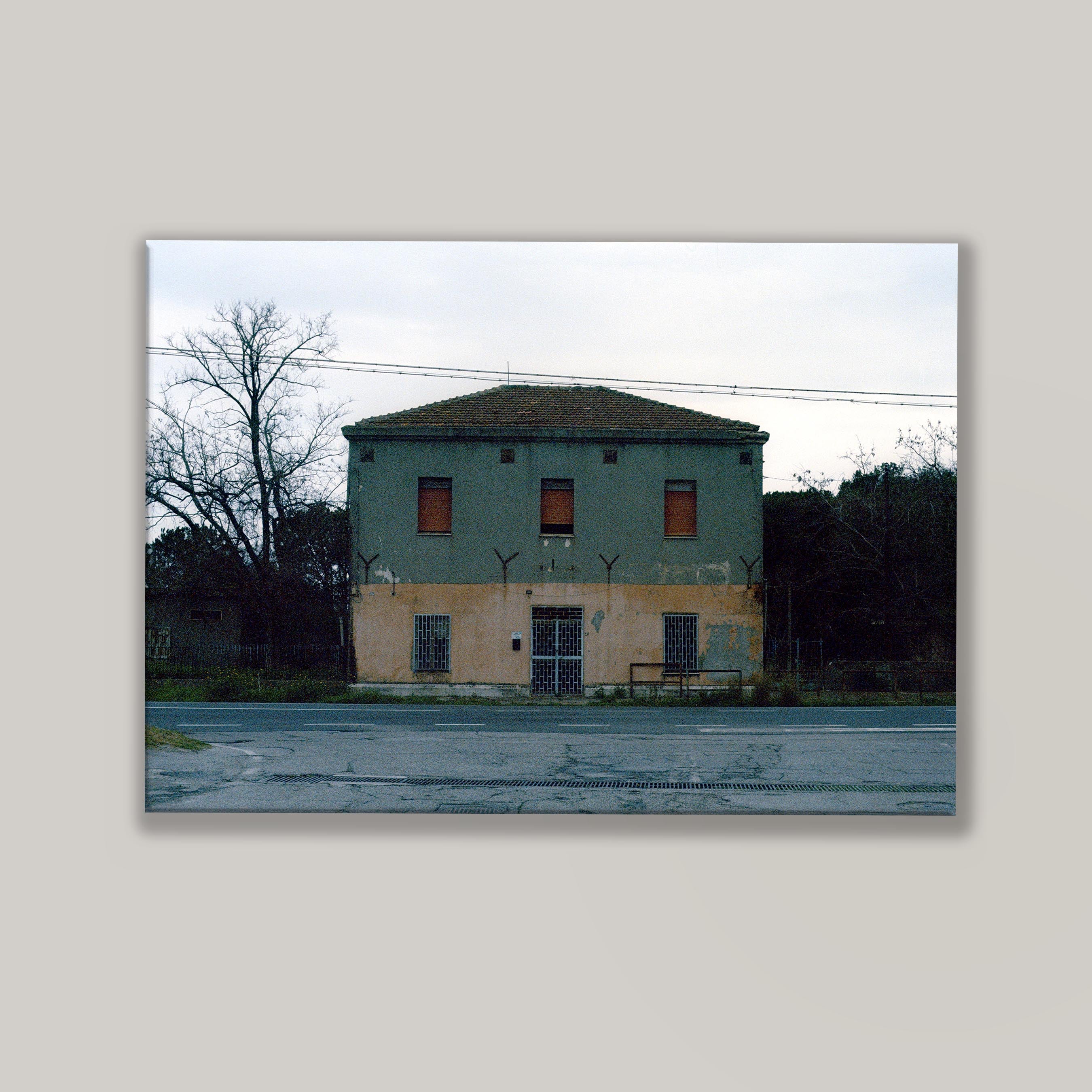 With Abandon