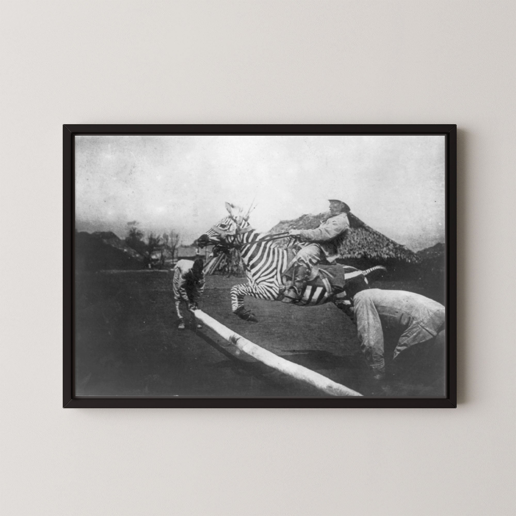 Zebra Jumper