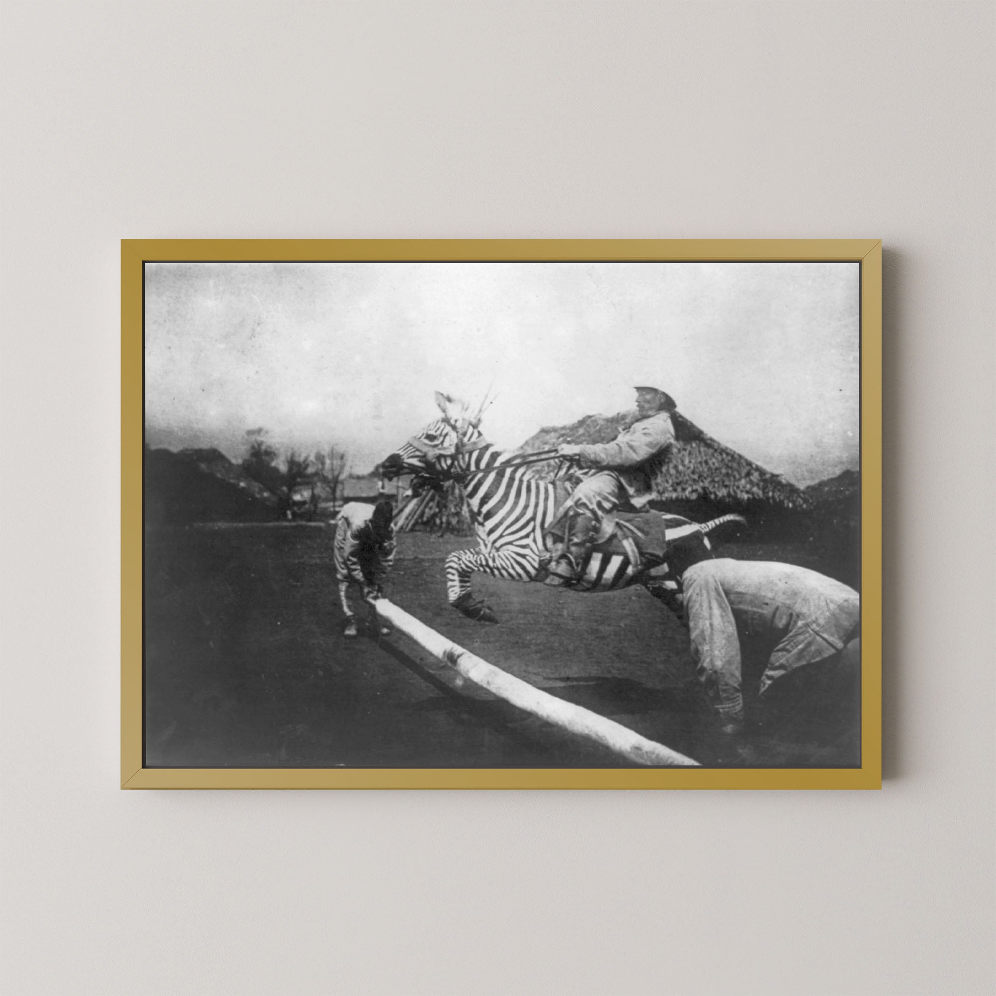 Zebra Jumper