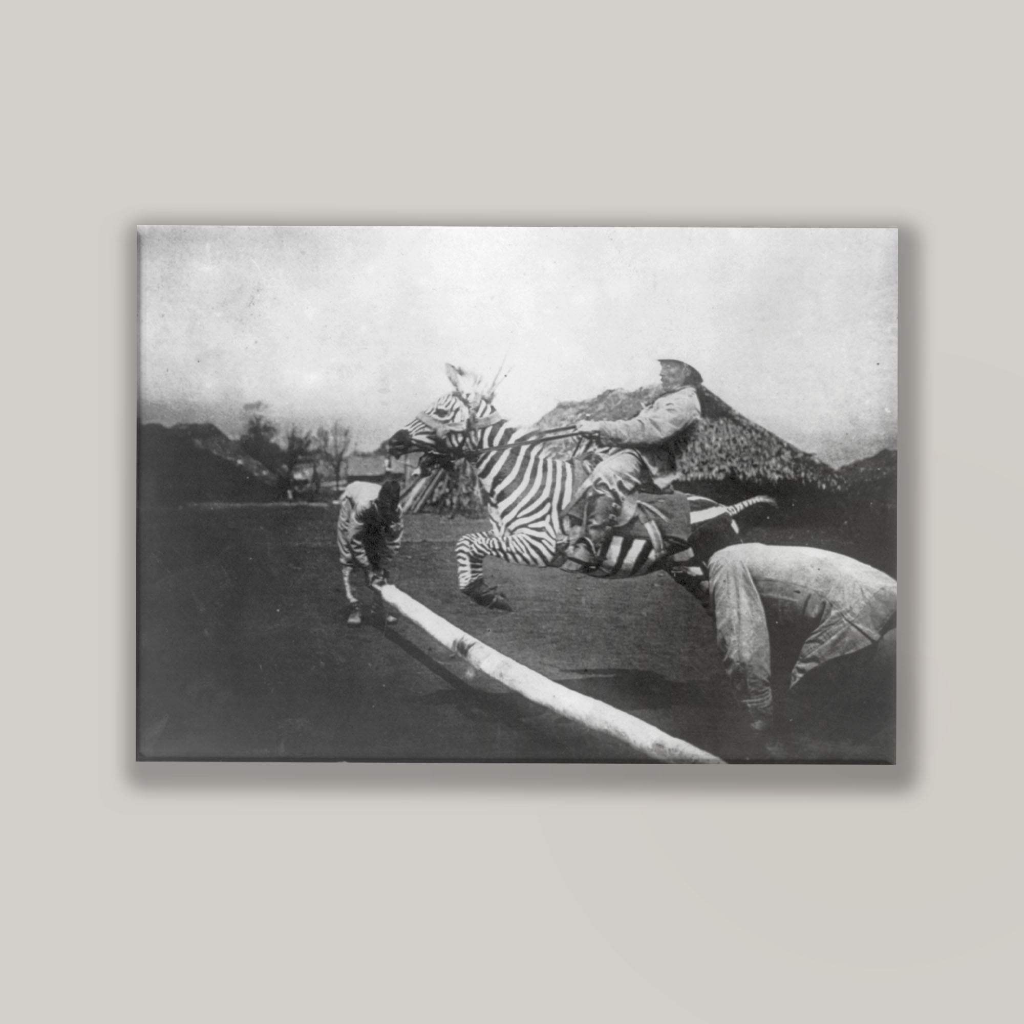 Zebra Jumper
