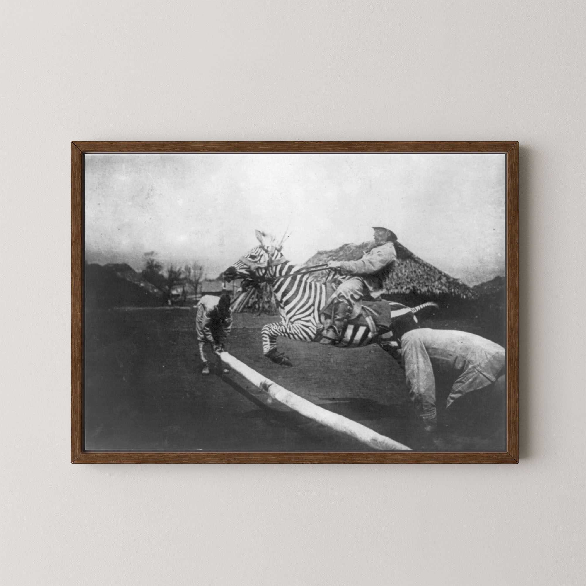 Zebra Jumper