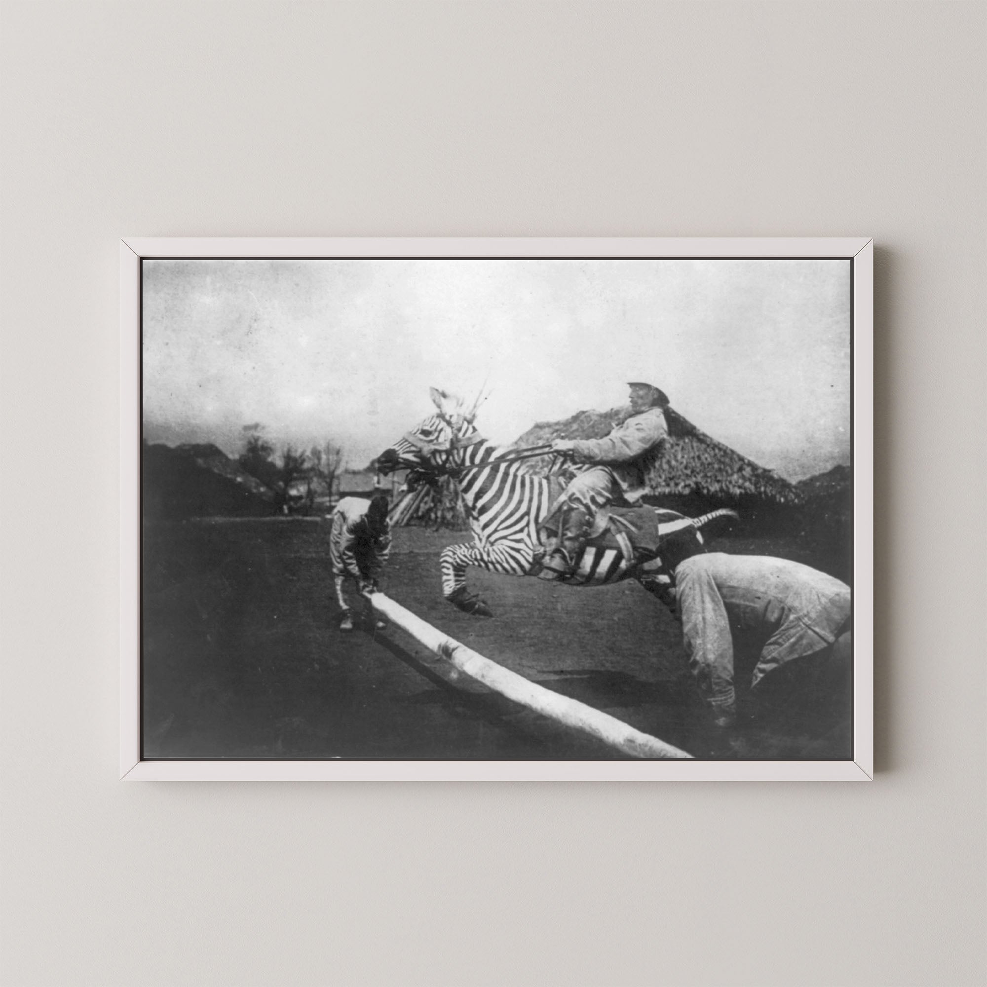 Zebra Jumper